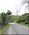 View South along the sylvan Scrabo Road