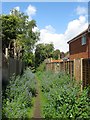 Public Footpath, Henfield