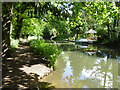 Basingstoke Canal, Ash Vale