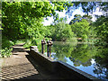 Run-off sluices, Basingstoke Canal