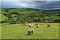 View towards Merridge