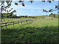 Paddocks near Llanbadarn Fawr