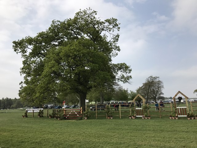 Badminton Horse Trials 2017: cross-country fence 24b - gate