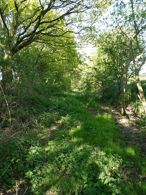 Trackbed of the Huntington branch line
