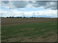 Farmland near Brook Hall