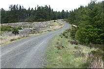 NZ0196 : Forestry track meanders by Russel Wills