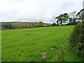 Farmland east of Sarn Rug