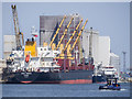 J3576 : Ships at Belfast by Rossographer