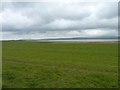 HY2914 : Fields beside the loch by James Allan