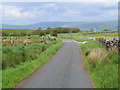 Higher Road near the entrance to Street House Farm