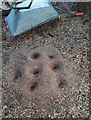 Holes in a pile of sand