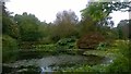 Lake at Rosemoor