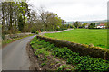 Lane at the bottom of Prospect Hill