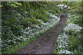 West Somerset : Footpath