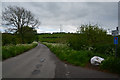 West Somerset : Country Road