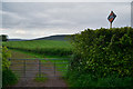 West Somerset : Grassy Field & Gate