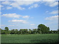 Fields off Hockerton Lane