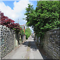 Cardiff: back alley behind Plasturton Gardens