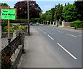 Vote Green Party placard, Cainscross Road, Stroud