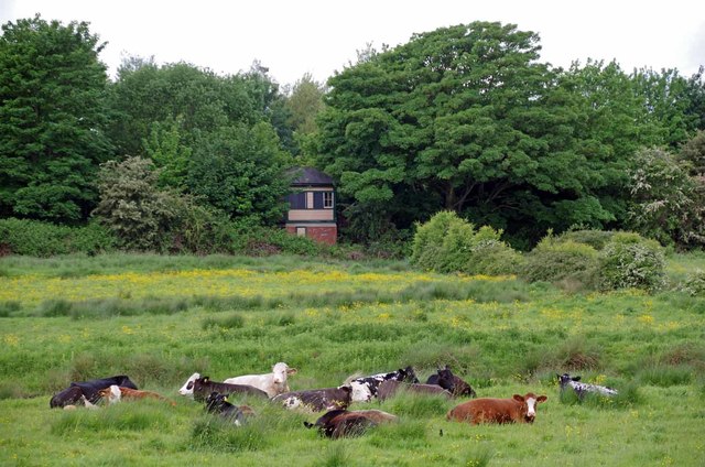 Water Meadow and Signal Box