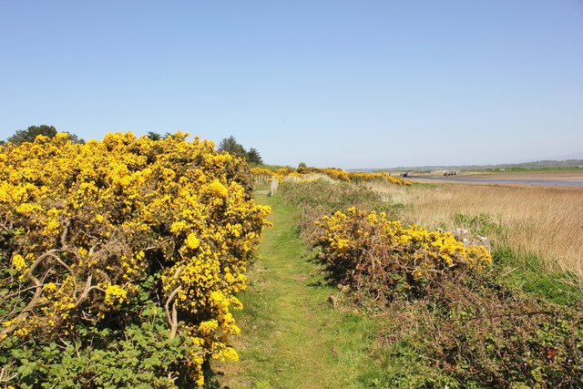 The Anglesey Coastal Path at Malltraeth