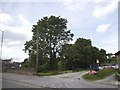 Park by the Great Ouse, Newport Pagnell