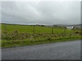 Rainy day near Norseman village