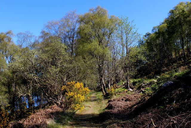 Path on the Shores of Loch Oich © Chris Heaton cc-by-sa/2.0 :: Geograph ...