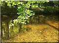 River Avon at Garaland Copse