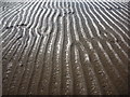 NT6678 : Coastal East Lothian : Footprints, Belhaven Sands by Richard West