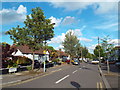 Greenleafe Drive, Barkingside