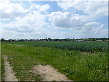 TQ5786 : View westwards from Cranham Farm by Marathon