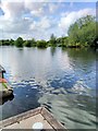SU5983 : River Thames viewed from The Beetle and Wedge Boathouse by PAUL FARMER