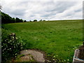 SY1589 : Sloping field, Trow, Devon by Jaggery