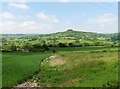 ST1703 : View towards Dumpdon Hill by Roger Cornfoot