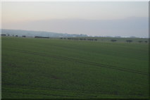 TA1078 : Farmland south of Royal Oak Crossing by N Chadwick