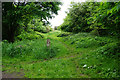 Crossing of footpaths near Flixton