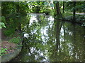 The foot of the lake in Parklands Open Space