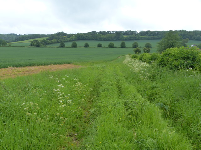 Path near Priors Dean