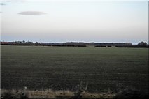 TA0247 : Flat farmland by N Chadwick
