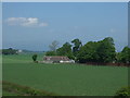 Crop field beside the M9 Motorway