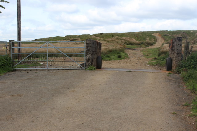 Gate and cattle grid, Cefn Crib