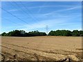 Three Acres/Flat Field/Long Field