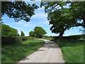 White Lane towards Gammon