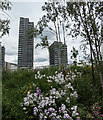 View from 9/11 Memorial, Olympic Park, Stratford