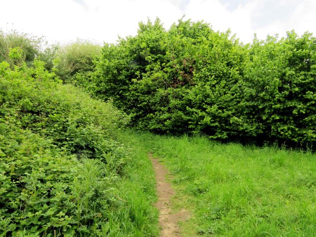 Footpath to Lye Valley