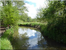 TQ5337 : The canal at Groombridge Place by Marathon
