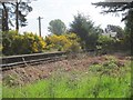 Orbliston railway station (site), Moray