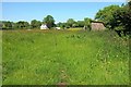 Field by Waddeton Road