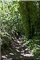 Footpath towards Upton